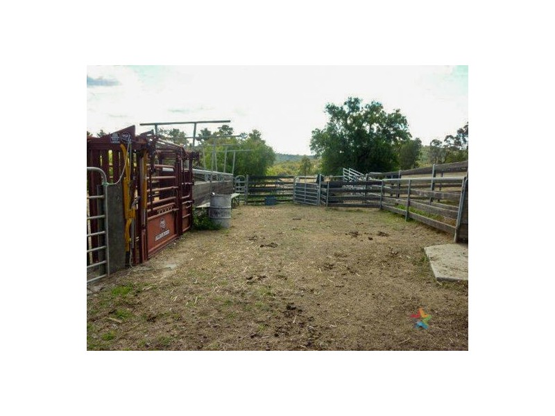 “The Grange” 2337 Danglemah Road, Woolbrook NSW 2354