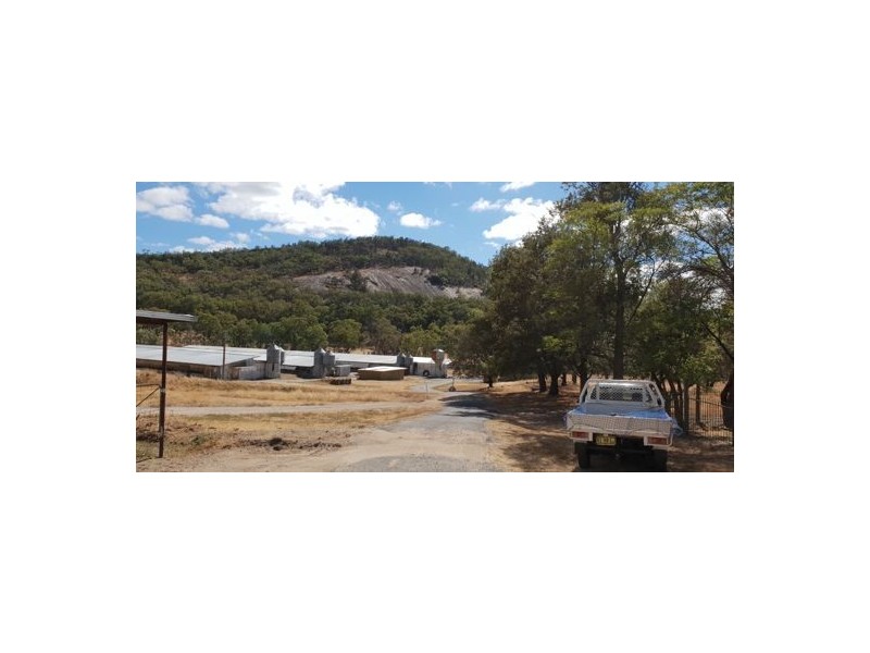 365 Moonbi Gap Rd, Tamworth NSW 2340
