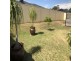 1 Kalinda Place, Hillvue NSW 2340