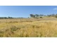 Lot 108 Forest Heights Estate, Tamworth NSW 2340