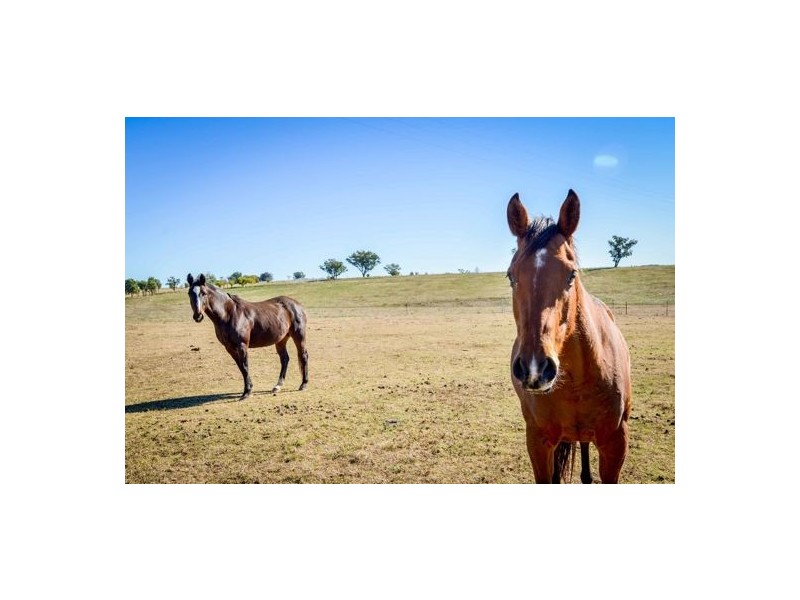 1051 Duri-Dungowan, Timbumburi NSW 2340