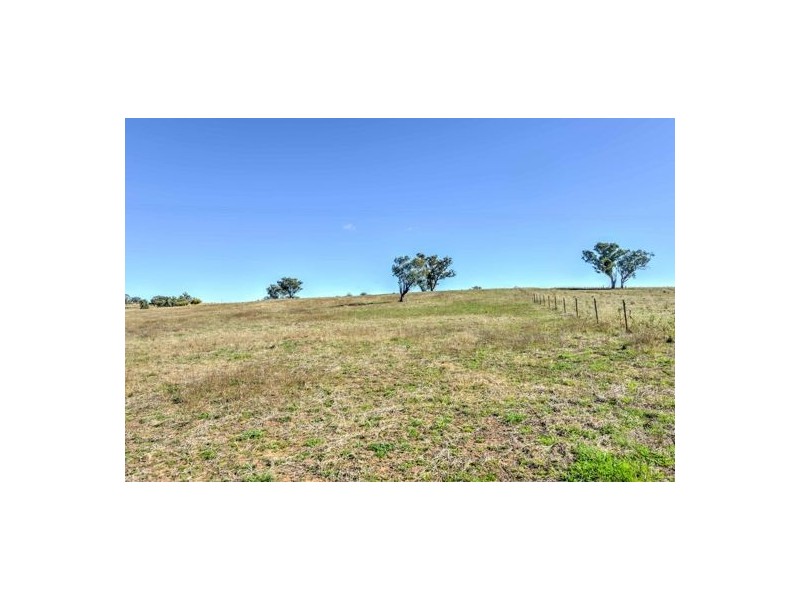 1051 Duri-Dungowan, Timbumburi NSW 2340