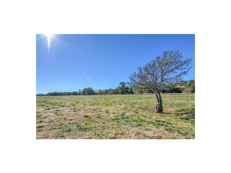 1051 Duri-Dungowan, Timbumburi NSW 2340