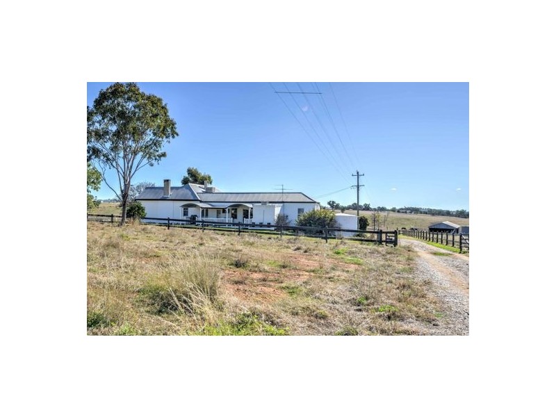 1051 Duri-Dungowan, Timbumburi NSW 2340