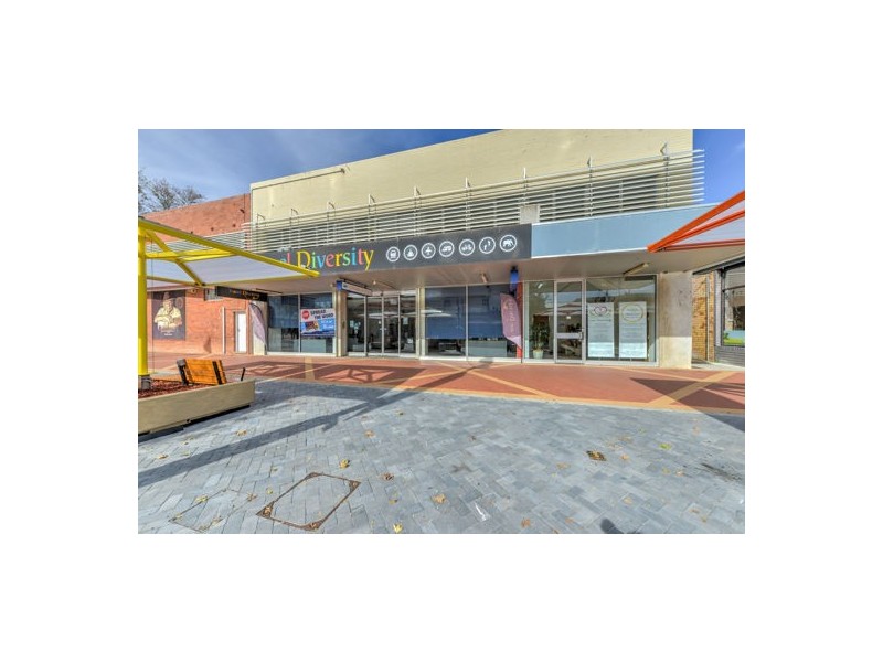 17 Fitzroy Street, Tamworth NSW 2340