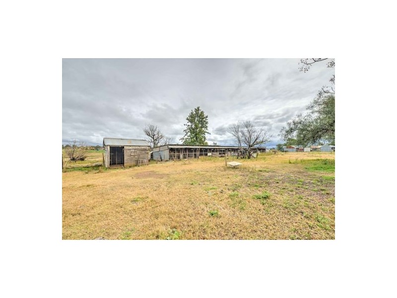 1-13 Bass Street, Westdale NSW 2340