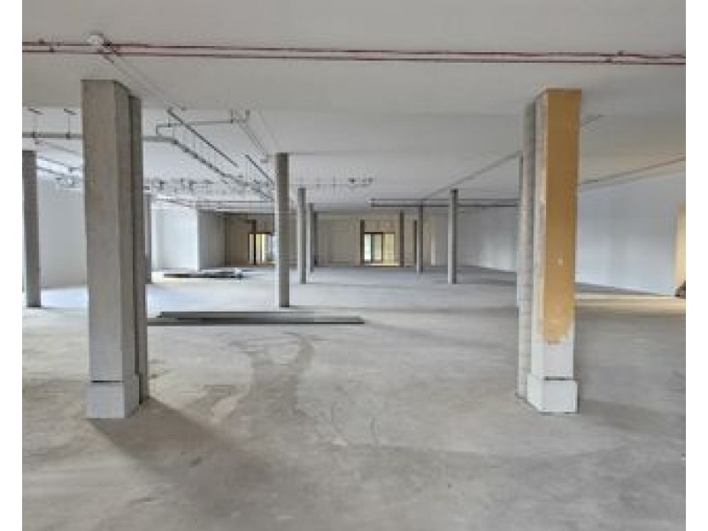 12 In Street, Tamworth NSW 2340