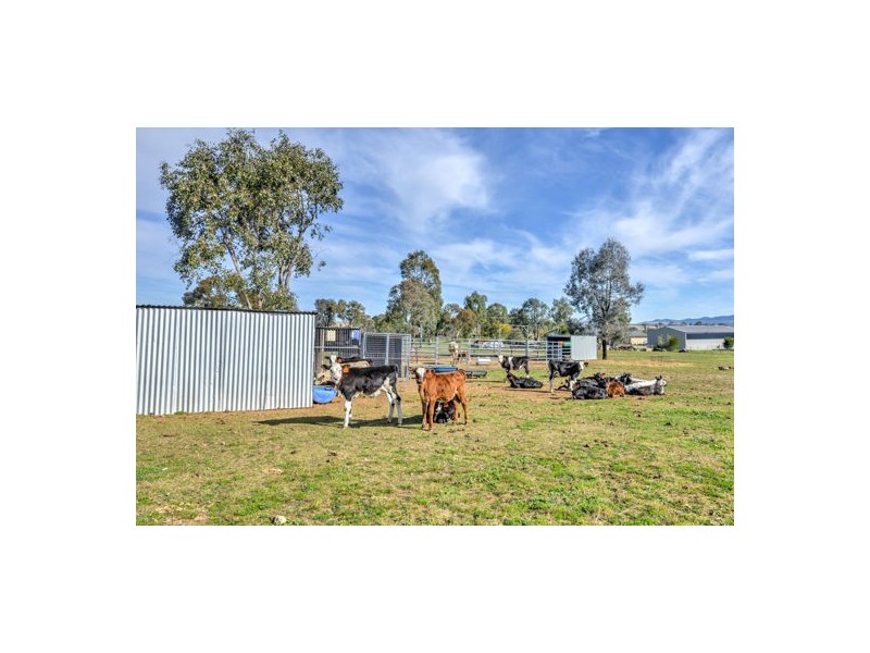 8 Warwick Road, Tamworth NSW 2340