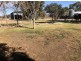 248 Bithramere Lane “MIRINEE”, Bithramere NSW 2340