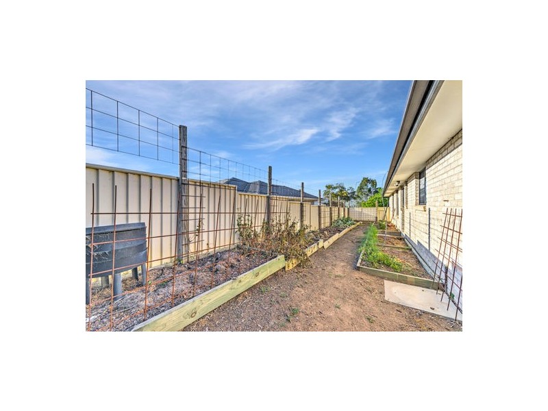 43 Peregrine Ave, Tamworth NSW 2340
