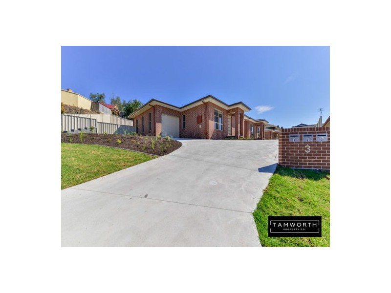 1/3 Ventnor Drive, Tamworth NSW 2340
