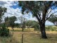 5 Oakley Road, Tamworth NSW 2340
