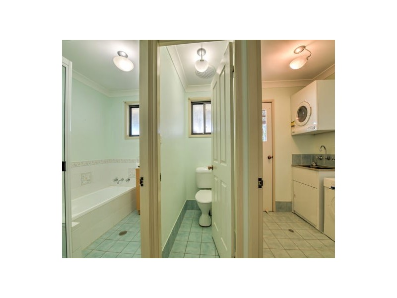 77 Evans Street, Westdale NSW 2340