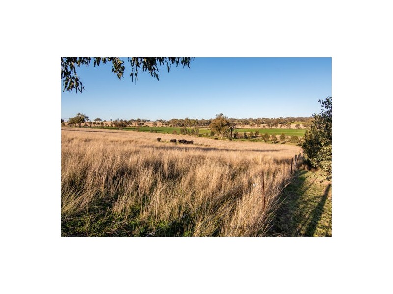 17 Ascot Calala Road, Tamworth NSW 2340