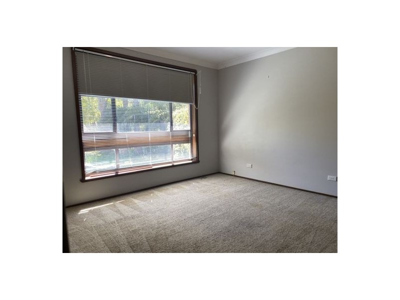 11 Graham Street, Tamworth NSW 2340