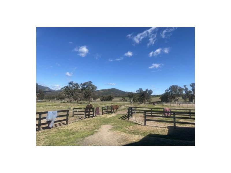 73 Porcupine Lane, Tamworth NSW 2340