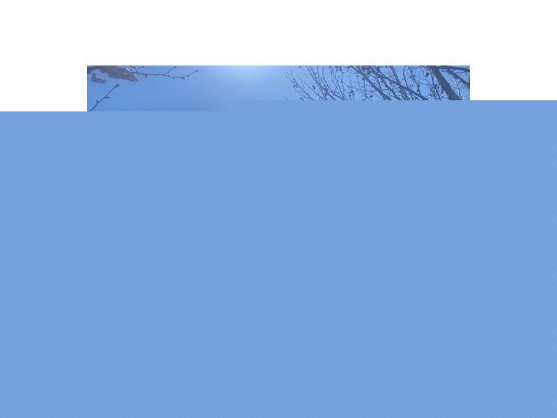 73 Porcupine Lane, Tamworth NSW 2340