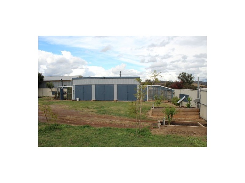 82 Queen Street, Barraba NSW 2347