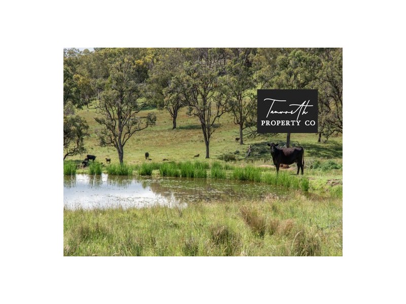 Watsons Creek NSW 2355