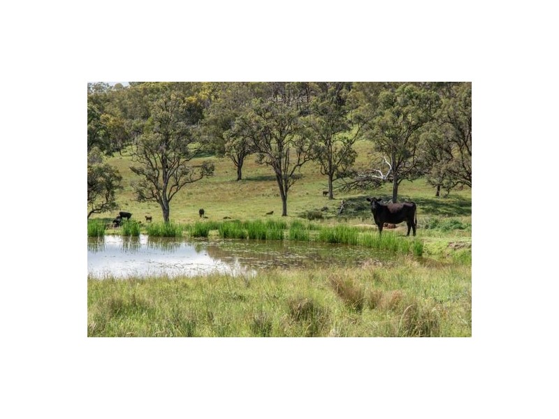 Watsons Creek NSW 2355