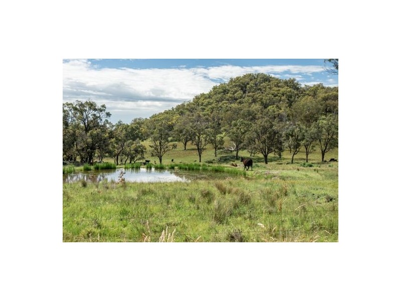Watsons Creek NSW 2355