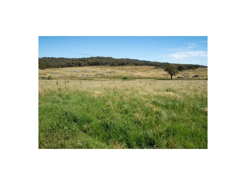 Watsons Creek NSW 2355