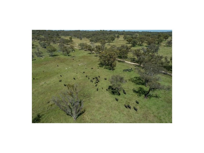 Watsons Creek NSW 2355