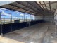 405 Old Winton Road, Tamworth NSW 2340