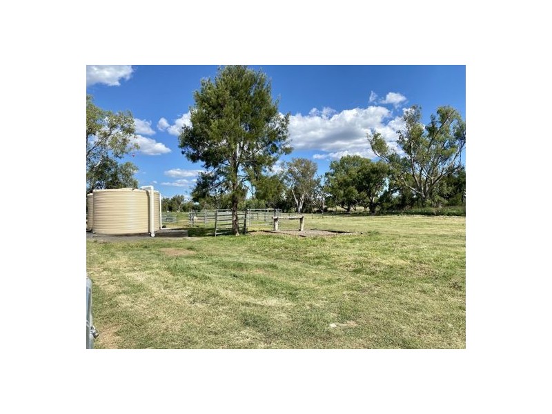54 Davidsons Lane, Tamworth NSW 2340