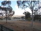 975 Upper Moore Creek Road, Tamworth NSW 2340