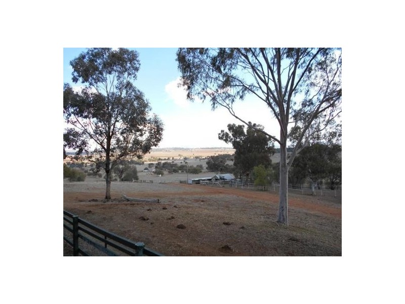 975 Upper Moore Creek Road, Tamworth NSW 2340