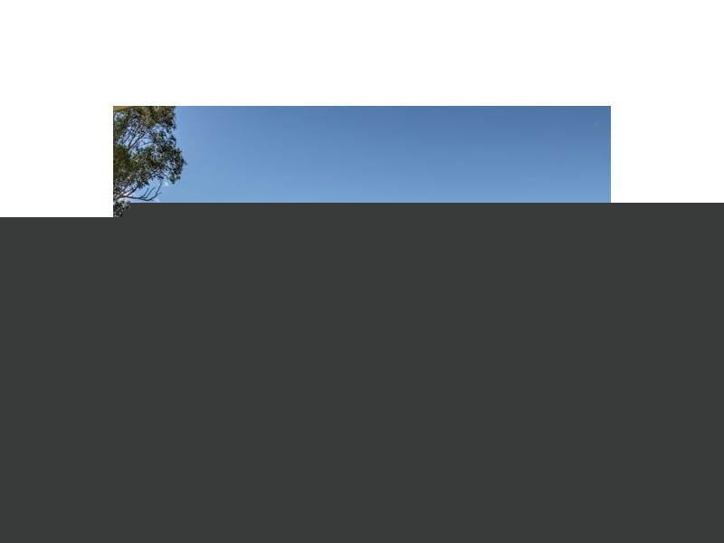 53 Back-Limbri Road, Moonbi NSW 2353