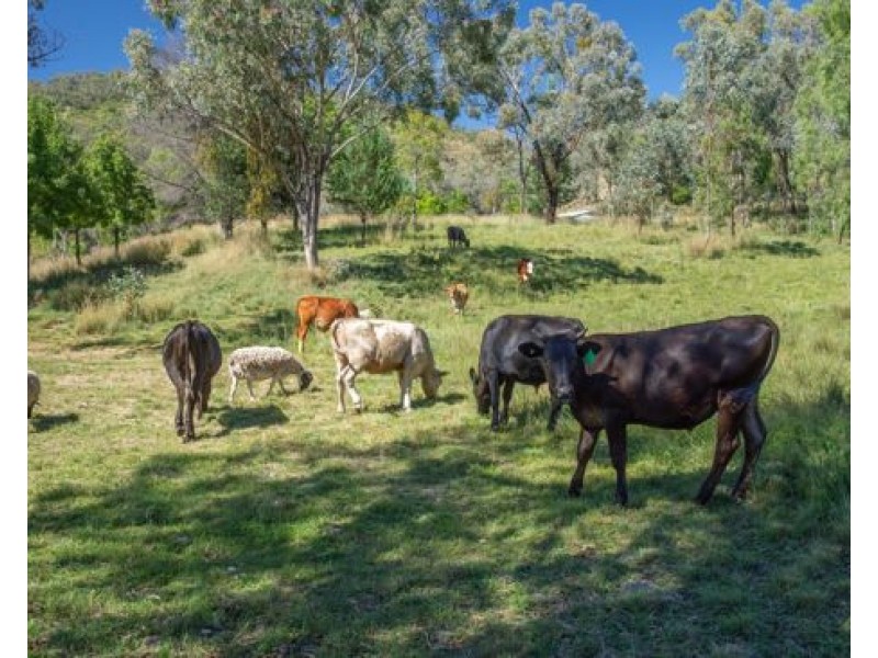 “Noongah” 78 Bagenmar Road, Tamworth NSW 2340