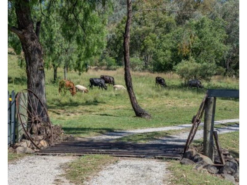 “Noongah” 78 Bagenmar Road, Tamworth NSW 2340