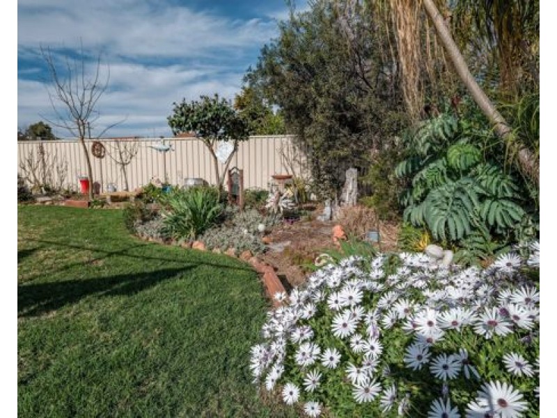 2 Hamilton Court, Tamworth NSW 2340