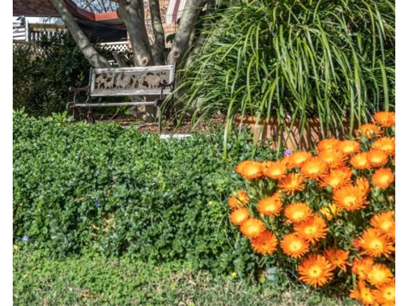 2 Hamilton Court, Tamworth NSW 2340