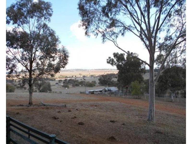 975 Upper Moore Creek Road, Tamworth NSW 2340