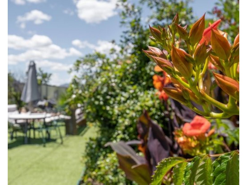 35 Punyarra Street, Werris Creek NSW 2341