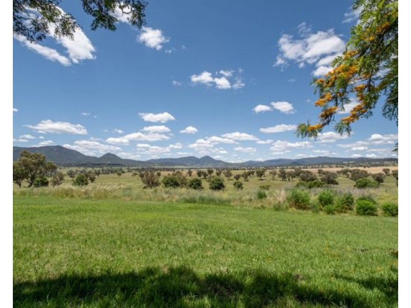 35 Punyarra Street, Werris Creek NSW 2341