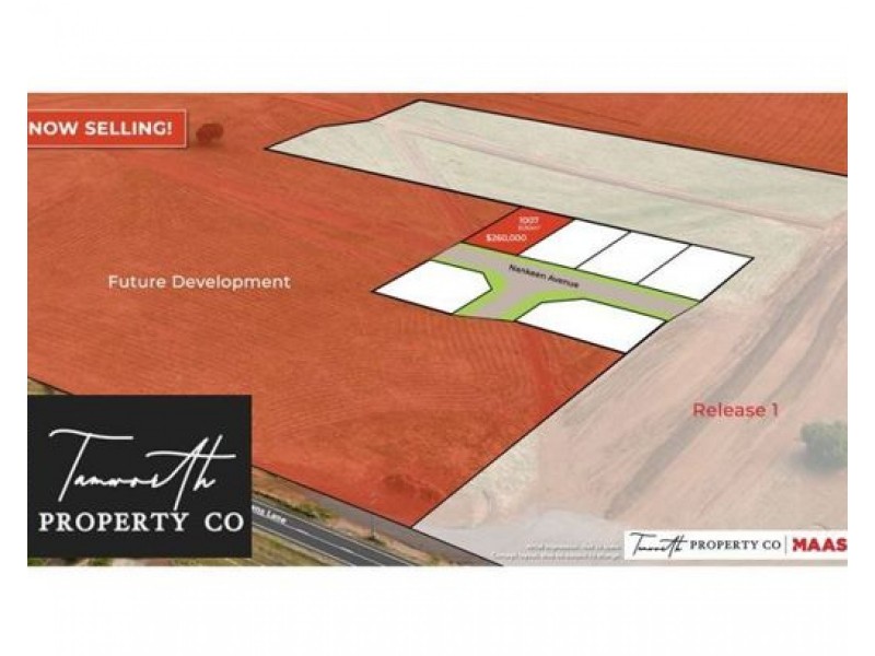 10 Nankeen Avenue, Tamworth NSW 2340