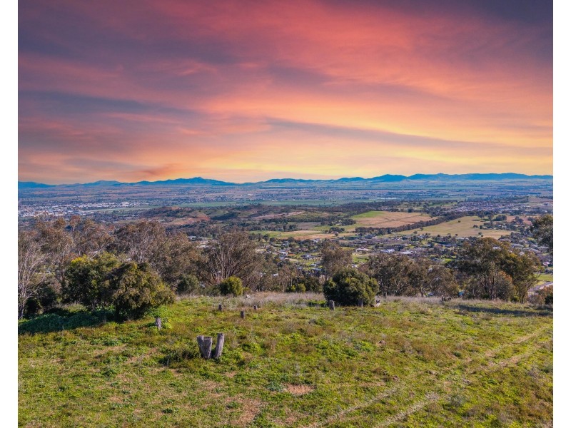 7 Dianella Close, Moore Creek NSW 2340