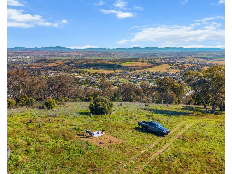 7 Dianella Close, Moore Creek NSW 2340