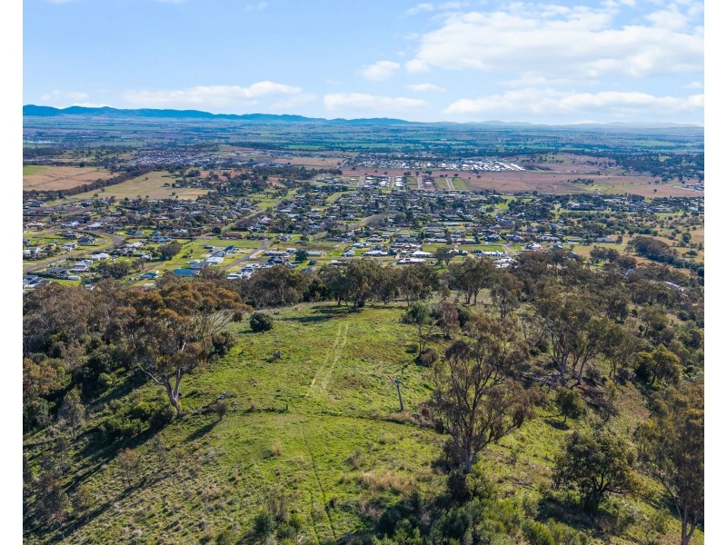 7 Dianella Close, Moore Creek NSW 2340