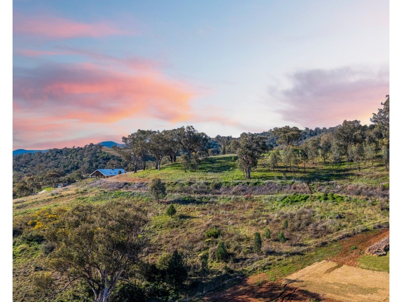 7 Dianella Close, Moore Creek NSW 2340