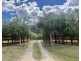 1403 Duncans Creek Road, Duncans Creek, Tamworth NSW 2340