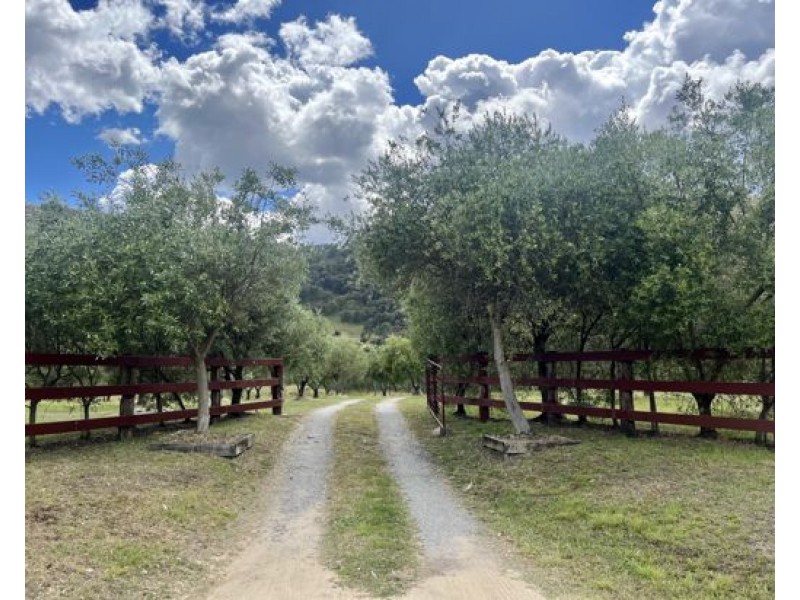 1403 Duncans Creek Road, Duncans Creek, Tamworth NSW 2340