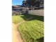 1/1 Cowper Close, Tamworth NSW 2340