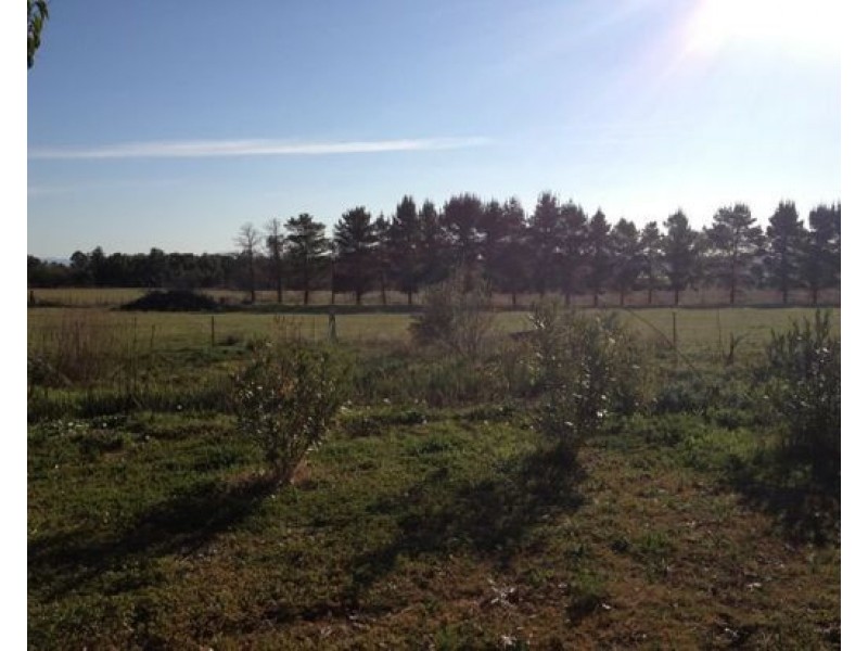 1077 Manilla Road, Hallsville NSW 2340