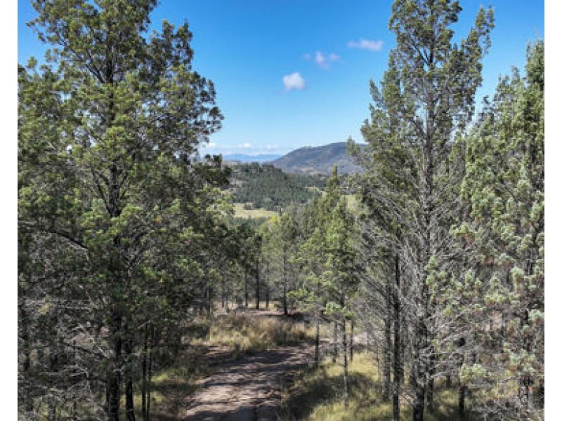 346 Woonooka Road, Daruka NSW 2340