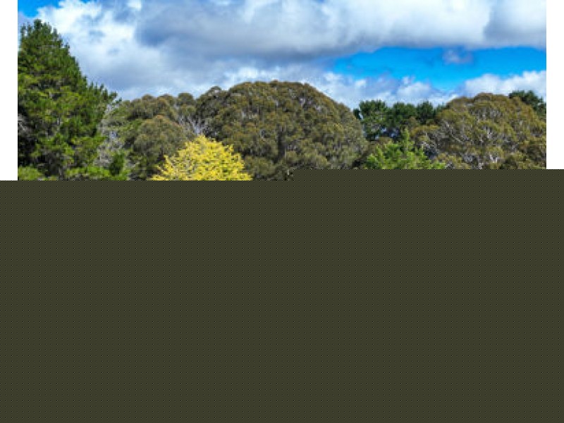 790 Barry Road, Tamworth NSW 2340